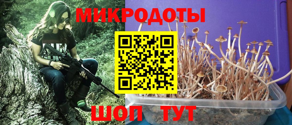 Морозовск  Псилоцибиновые грибы прущие грибы  Вход с VPN 